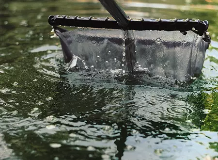 Pond Cleaning DL Small - Grass Roots Pond And Garden - Grass Roots Pond And Garden Pond Cleaning