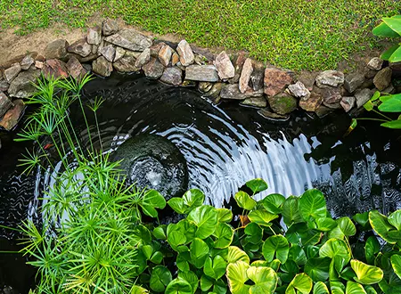 Pond Construction DL Small - Grass Roots Pond And Garden - Grass Roots Pond And Garden Pond Construction