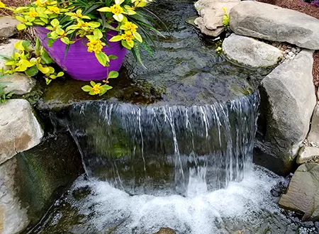 Average copy - Grass Roots Pond And Garden - Grass Roots Pond And Garden