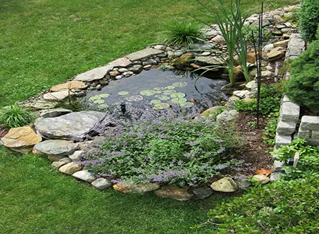 Base copy - Grass Roots Pond And Garden - Grass Roots Pond And Garden Base Pricec Pond Cleaning And Maintenance