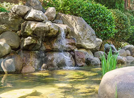 High-End copy - Grass Roots Pond And Garden - Grass Roots Pond And Garden
