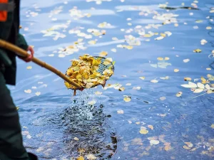 Pond Cleaning