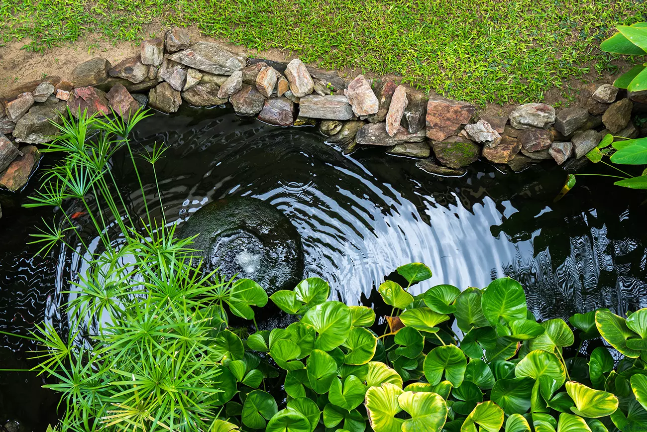 Pond Construction DL - Grass Roots Pond And Garden - Grass Roots Pond And Garden Pond Construction