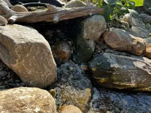Pond Construction Project