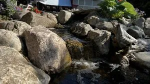 Pond Construction Project