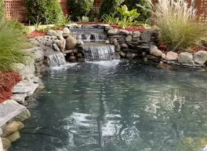 Pond Repair