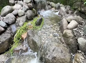 Pond Repair