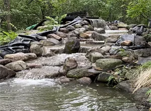 Pond Repair