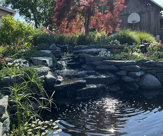 Section 1 - Grass Roots Pond And Garden - Grass Roots Pond And Garden