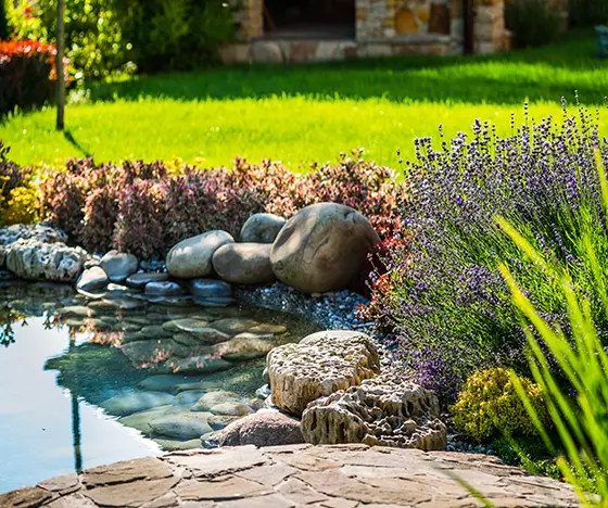 Custom Backyard Pond that has been thoroughly cleaned