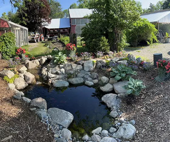 Section 2 - Grass Roots Pond And Garden - Grass Roots Pond And Garden Repaired Pond