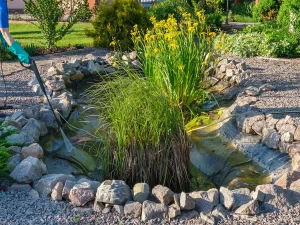 Pond Cleaning