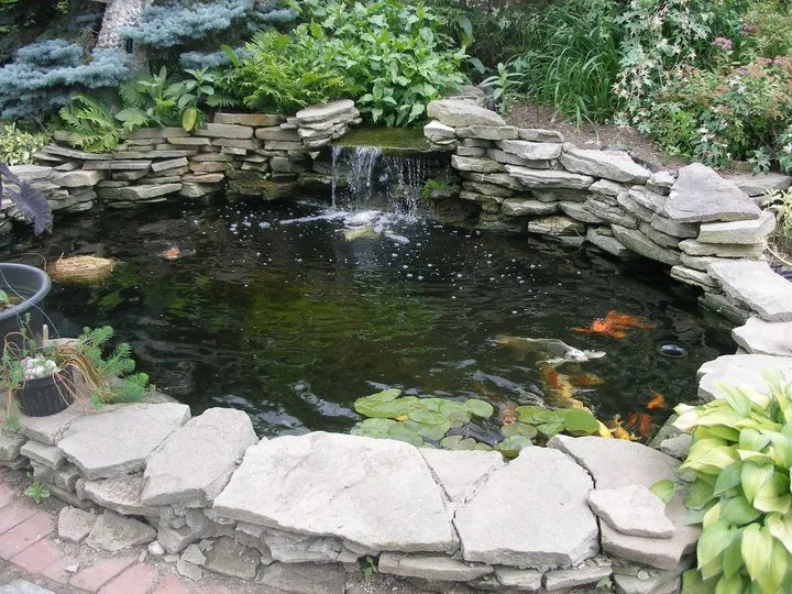 How to build a koi pond like this