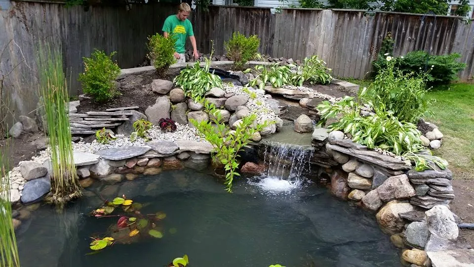Partially above-ground pond - Grass Roots Pond And Garden Partially above-ground pond