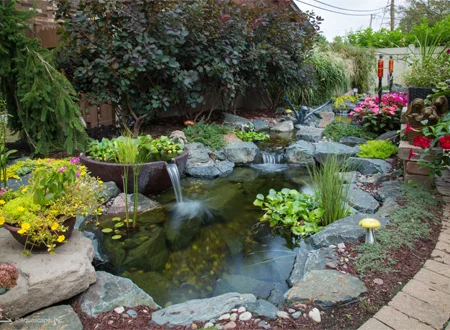 Pond Repair Consultation With An Exploratory Cleaning - Grass Roots Pond And Garden - Grass Roots Pond And Garden Pond Repair Consultation With An Exploratory Cleaning
