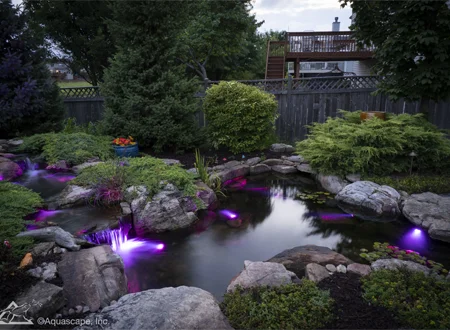 High-End Tier Tranquility Pond Build - Grass Roots Pond And Garden - Grass Roots Pond And Garden High-End Tier Tranquility Pond Build