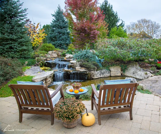 Beautiful Backyard Pond - Grass Roots Pond And Garden - Grass Roots Pond And Garden Beautiful Backyard Pond