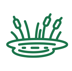 Pond Construction Icon - Grass Roots Pond And Garden - Grass Roots Pond And Garden Pond Construction Icon