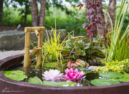 Small Fountainscape - Grass Roots Pond And Garden - Grass Roots Pond And Garden Small Fountainscape