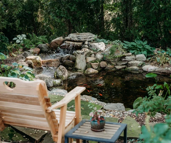 Luxury pond with waterfall and sitting area - Grass Roots Pond And Garden - Grass Roots Pond And Garden Luxury pond with waterfall and sitting area