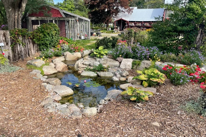 Pond clearance pump cleaning