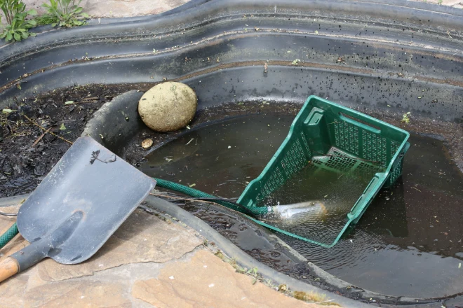 Cleaning an artificial pond in the garden using a pump