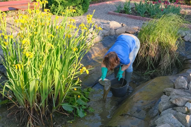 woman-cleans-a-artificial-fish-pond-from-slime-and-water-plants - Grass Roots Pond And Garden woman cleans a artificial fish pond from slime and water plants