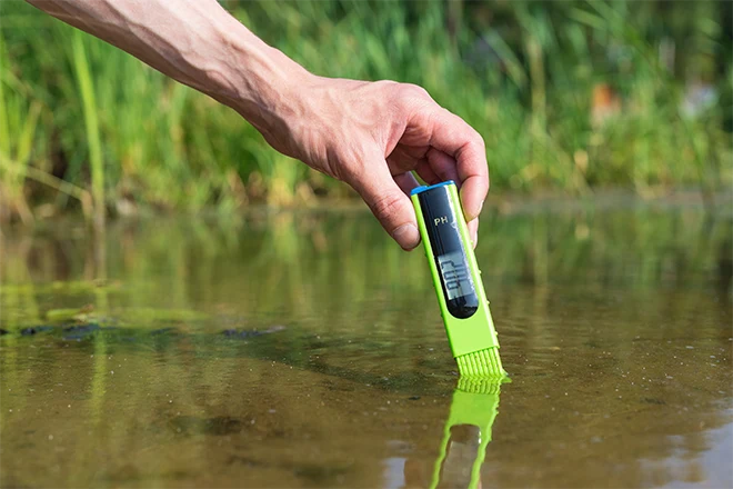 What Do Fish Pond Water Testing Kits Cost