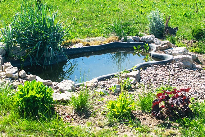 A small DIY pond in a backyard