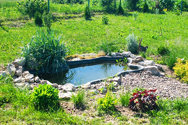 DIY pond in a backyard
