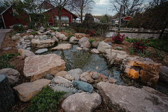 How to Make Pond Water Clear and Keep It That Way (6 Ways)